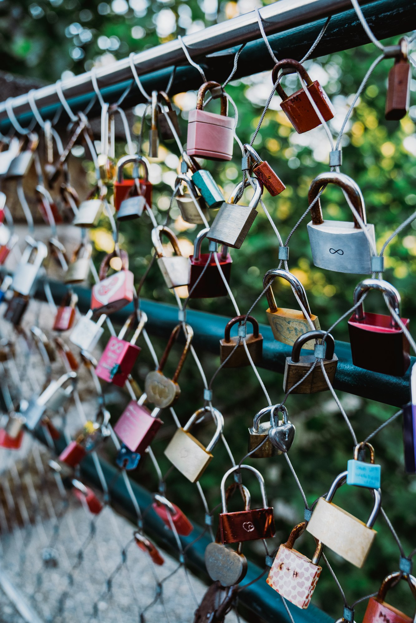 Love locks hanging on fence