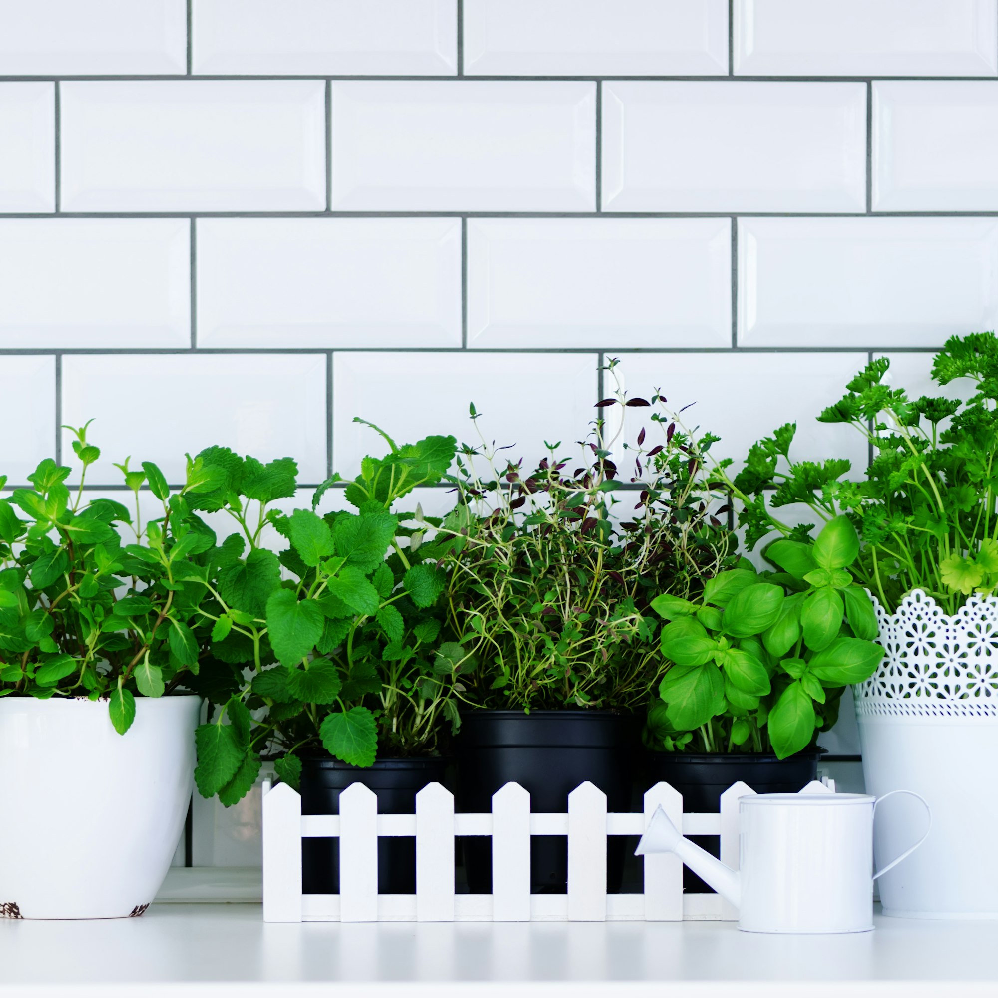 Mint, thyme, basil, parsley - aromatic kitchen herbs in white wooden crate on kitchen table, brick